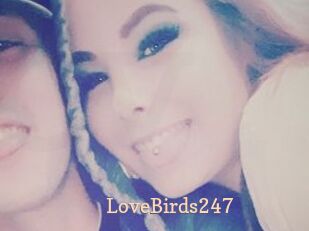 LoveBirds247