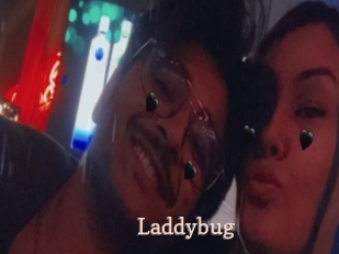 Laddybug