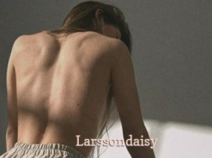 Larssondaisy