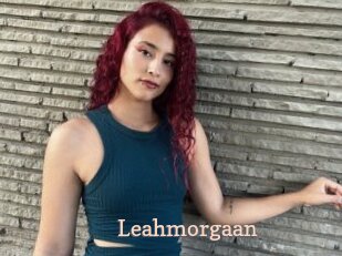 Leahmorgaan