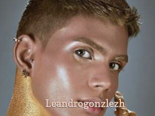 Leandrogonzlezh