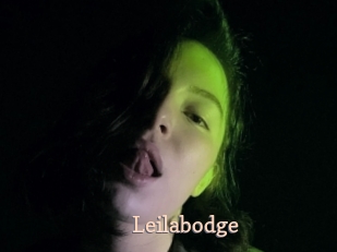 Leilabodge
