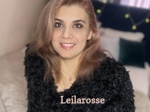 Leilarosse