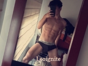 Leoignite