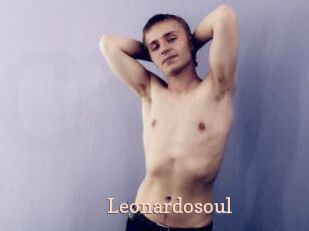 Leonardosoul