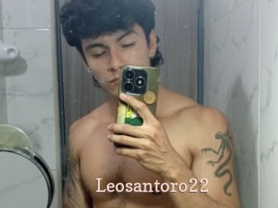 Leosantoro22