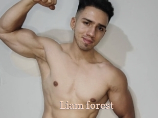 Liam_forest