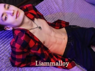 liammalloy Chaude Vision