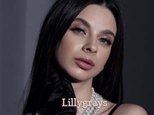 Lillygrays