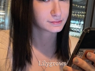 Lilygrows