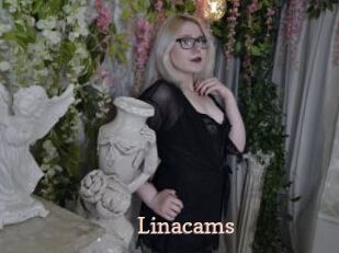 Linacams
