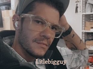 Litlebigguy