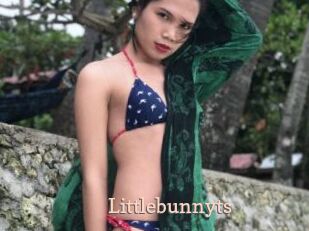 Littlebunnyts