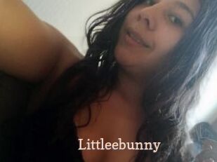 Littleebunny