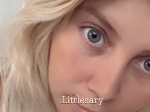littlesary Chaude Vision