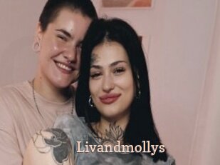 Livandmollys