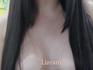 Lizcam