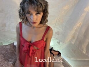 Lucellekoi
