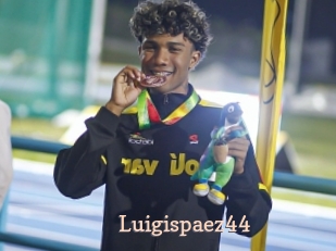 Luigispaez44