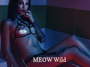 MEOW_Wild