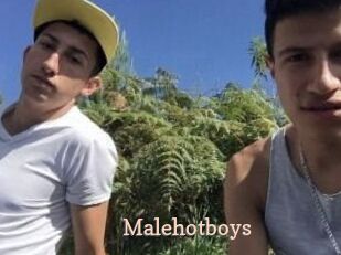 Malehotboys