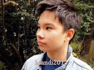 Mandi2013