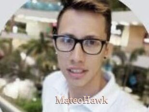 MateoHawk
