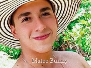 Mateo_Bunny