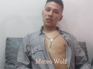 Mateo_Wolf