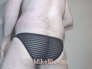 Mike_Blevins