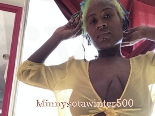 Minnysotawinter500