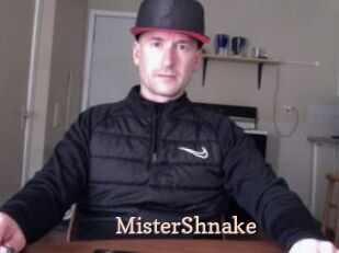 MisterShnake