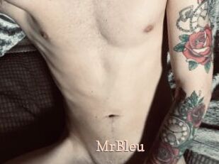 MrBleu