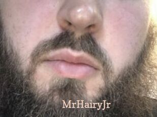 MrHairyJr