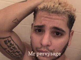 Mr_pervysage