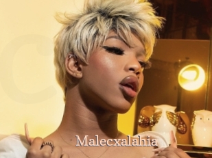 malecxalahia Chaude Vision