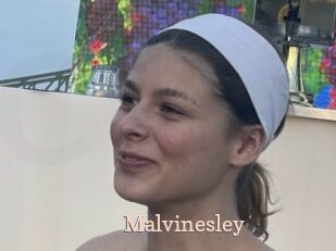 Malvinesley