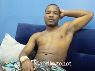 Mandingohot