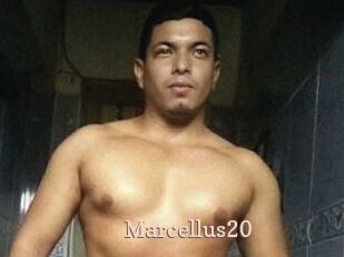 Marcellus20