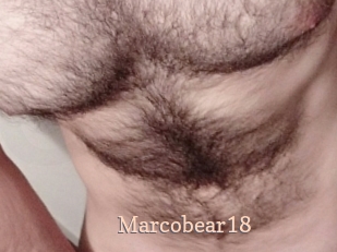 Marcobear18
