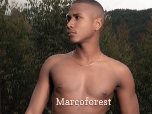Marcoforest