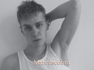 Marcuscobra