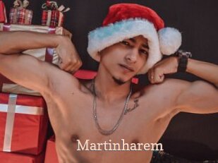 Martinharem