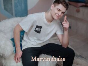 Marvinshake