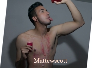 mattewscott Chaude Vision