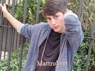 Mattrobert