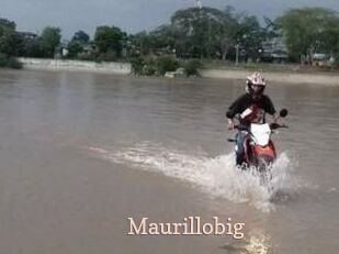 Maurillobig