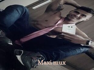 Maxi_mux