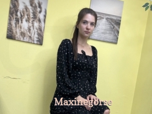 Maxinegorse