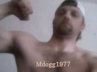 Mdogg1977
